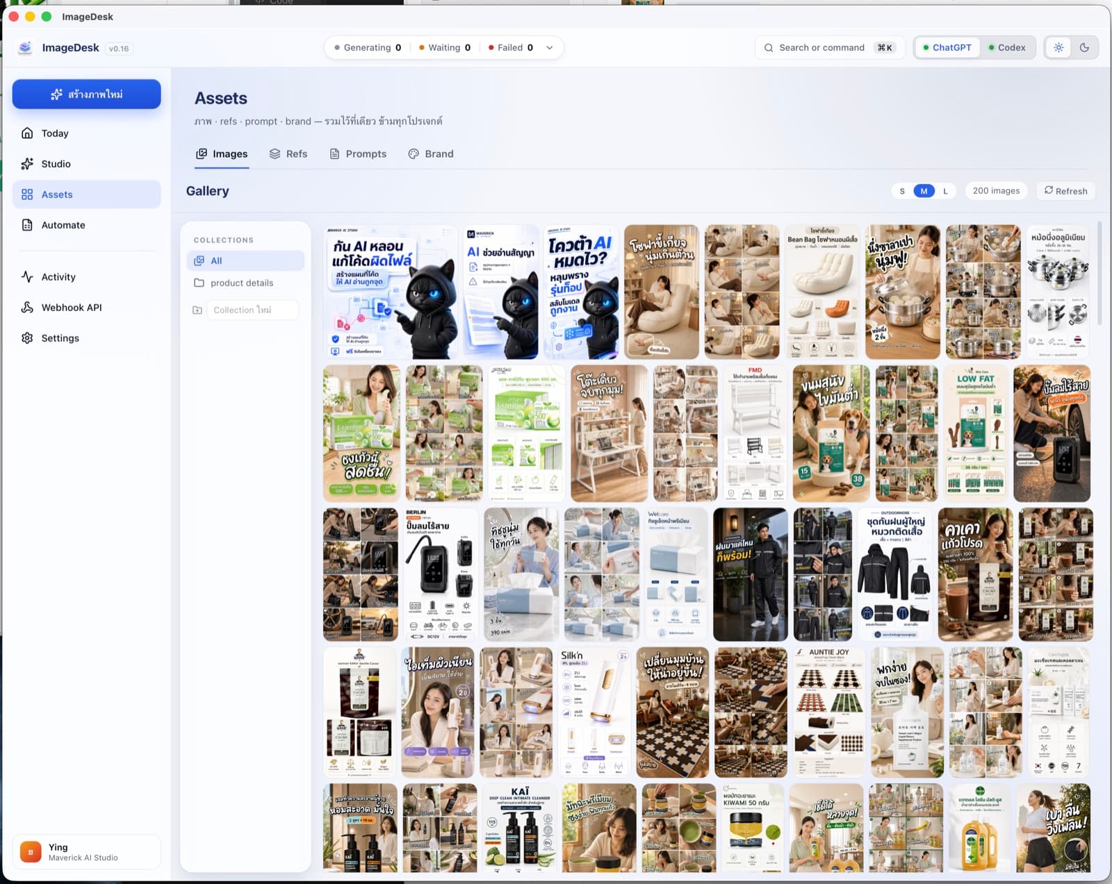 Assets — คลังภาพและ Prompt